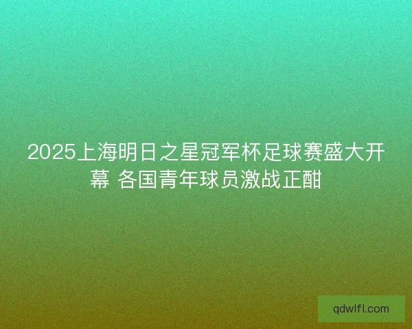 2025上海明日之星冠军杯足球赛盛大开幕 各国青年球员激战正酣
