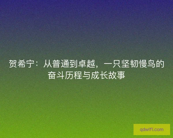 贺希宁：从普通到卓越，一只坚韧慢鸟的奋斗历程与成长故事