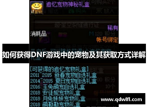 如何获得DNF游戏中的宠物及其获取方式详解